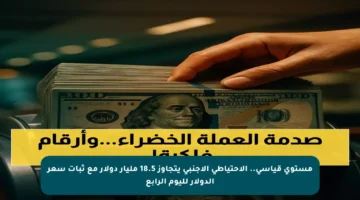 مستوى قياسي.. الاحتياطي الأجنبي يتجاوز 18.5 مليار دولار مع ثبات سعر الدولار لليوم الرابع